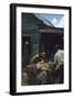 Men Watch Three Young Women Pluck Feathers from Chickenss, Edisto Island, South Carolina, 1956-Walter Sanders-Framed Photographic Print