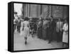 Men Watching Actress Gina Lollobrigida Walk Past-Peter Stackpole-Framed Stretched Canvas