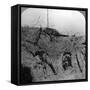 Men Who Fell Contesting the Mine Crater, Hooge, Belgium, World War I, 1914-1918-null-Framed Stretched Canvas