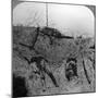 Men Who Fell Contesting the Mine Crater, Hooge, Belgium, World War I, 1914-1918-null-Mounted Photographic Print