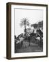 Men with Camels, Las Palmas, Gran Canaria, Canary Islands, Spain, C1920S-C1930S-null-Framed Photographic Print