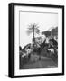 Men with Camels, Las Palmas, Gran Canaria, Canary Islands, Spain, C1920S-C1930S-null-Framed Photographic Print