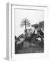 Men with Camels, Las Palmas, Gran Canaria, Canary Islands, Spain, C1920S-C1930S-null-Framed Photographic Print