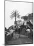 Men with Camels, Las Palmas, Gran Canaria, Canary Islands, Spain, C1920S-C1930S-null-Mounted Photographic Print