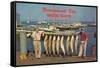 Men with Fish, Narragansett Bay, Rhode Island-null-Framed Stretched Canvas