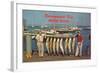 Men with Fish, Narragansett Bay, Rhode Island-null-Framed Art Print