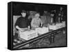 Men Working in the Packaging Department of the Cinzano Wine Works-Carl Mydans-Framed Stretched Canvas