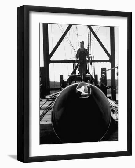 Men Working on the Texas Illinois Natural Gas Company's Pipeline Suspension Bridge-John Dominis-Framed Photographic Print