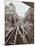 Men Working on Tramline Electricification, Wandsworth, London, 1906-null-Mounted Photographic Print