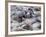 Men Working Tannery Vats in the Medina, Fes, Morocco-Merrill Images-Framed Photographic Print