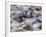 Men Working Tannery Vats in the Medina, Fes, Morocco-Merrill Images-Framed Photographic Print