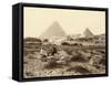 Mena-House Hotel, Next to the Giza Pyramids (Egypt)-null-Framed Stretched Canvas