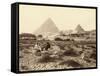 Mena-House Hotel, Next to the Giza Pyramids (Egypt)-null-Framed Stretched Canvas