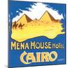 Mena House Hotel-null-Mounted Art Print