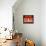 Menage A Trois Orange Cat-Stephen Huneck-Framed Stretched Canvas displayed on a wall