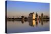 Menara Gardens, Marrakech, Morocco, North Africa, Africa-Neil Farrin-Stretched Canvas