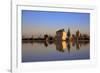 Menara Gardens, Marrakech, Morocco, North Africa, Africa-Neil Farrin-Framed Photographic Print