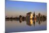 Menara Gardens, Marrakech, Morocco, North Africa, Africa-Neil Farrin-Mounted Photographic Print