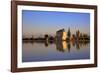 Menara Gardens, Marrakech, Morocco, North Africa, Africa-Neil Farrin-Framed Photographic Print