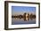 Menara Gardens, Marrakech, Morocco, North Africa, Africa-Neil Farrin-Framed Photographic Print