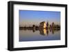 Menara Gardens, Marrakech, Morocco, North Africa, Africa-Neil Farrin-Framed Photographic Print