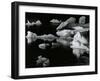 Mendenhall Glacier, Alaska, 1973-Brett Weston-Framed Premium Photographic Print