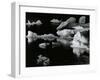 Mendenhall Glacier, Alaska, 1973-Brett Weston-Framed Premium Photographic Print