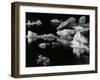 Mendenhall Glacier, Alaska, 1973-Brett Weston-Framed Photographic Print