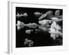 Mendenhall Glacier, Alaska, 1973-Brett Weston-Framed Photographic Print