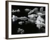 Mendenhall Glacier, Alaska, 1973-Brett Weston-Framed Photographic Print