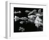 Mendenhall Glacier, Alaska, 1973-Brett Weston-Framed Photographic Print