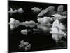 Mendenhall Glacier, Alaska, 1973-Brett Weston-Mounted Photographic Print