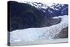 Mendenhall Glacier, Juneau, Alaska, United States of America, North America-Richard Cummins-Stretched Canvas