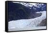 Mendenhall Glacier, Juneau, Alaska, United States of America, North America-Richard Cummins-Framed Stretched Canvas