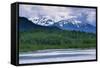 Mendenhall Glacier Lake, Juneau, Alaska, United States of America, North America-Richard Cummins-Framed Stretched Canvas