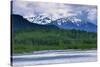 Mendenhall Glacier Lake, Juneau, Alaska, United States of America, North America-Richard Cummins-Stretched Canvas