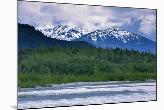 Mendenhall Glacier Lake, Juneau, Alaska, United States of America, North America-Richard Cummins-Mounted Photographic Print