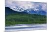 Mendenhall Glacier Lake, Juneau, Alaska, United States of America, North America-Richard Cummins-Mounted Photographic Print