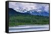 Mendenhall Glacier Lake, Juneau, Alaska, United States of America, North America-Richard Cummins-Framed Stretched Canvas