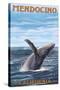 Mendocino, California - Humpback Whale-Lantern Press-Stretched Canvas