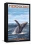 Mendocino, California - Humpback Whale-Lantern Press-Framed Stretched Canvas