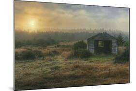 Mendocino Coast Shack and Morning Sun-Vincent James-Mounted Photographic Print