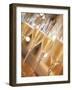 Mendoza Province, Lujan De Cuyo, Bodegas Norton Winery, Wineglasses in the Tasting Room, Argentina-Walter Bibikow-Framed Photographic Print