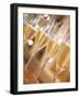 Mendoza Province, Lujan De Cuyo, Bodegas Norton Winery, Wineglasses in the Tasting Room, Argentina-Walter Bibikow-Framed Photographic Print