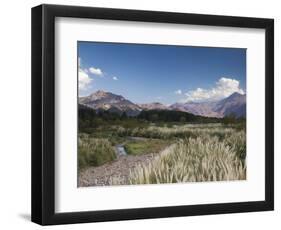 Mendoza Province, Uspallata, Andes Mountains and Rio Mendoza River, Argentina-Walter Bibikow-Framed Photographic Print