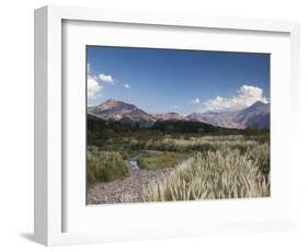 Mendoza Province, Uspallata, Andes Mountains and Rio Mendoza River, Argentina-Walter Bibikow-Framed Photographic Print