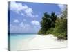 Mendu Island, Baa Atoll, Maldives, Indian Ocean-Sergio Pitamitz-Stretched Canvas