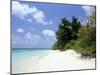 Mendu Island, Baa Atoll, Maldives, Indian Ocean-Sergio Pitamitz-Mounted Photographic Print