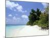 Mendu Island, Baa Atoll, Maldives, Indian Ocean-Sergio Pitamitz-Mounted Photographic Print