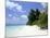 Mendu Island, Baa Atoll, Maldives, Indian Ocean-Sergio Pitamitz-Mounted Photographic Print